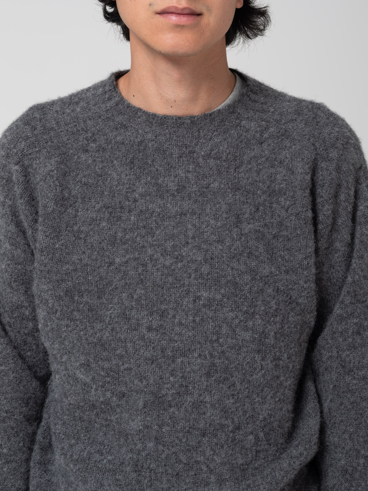 Pull Shaggy, Basalte