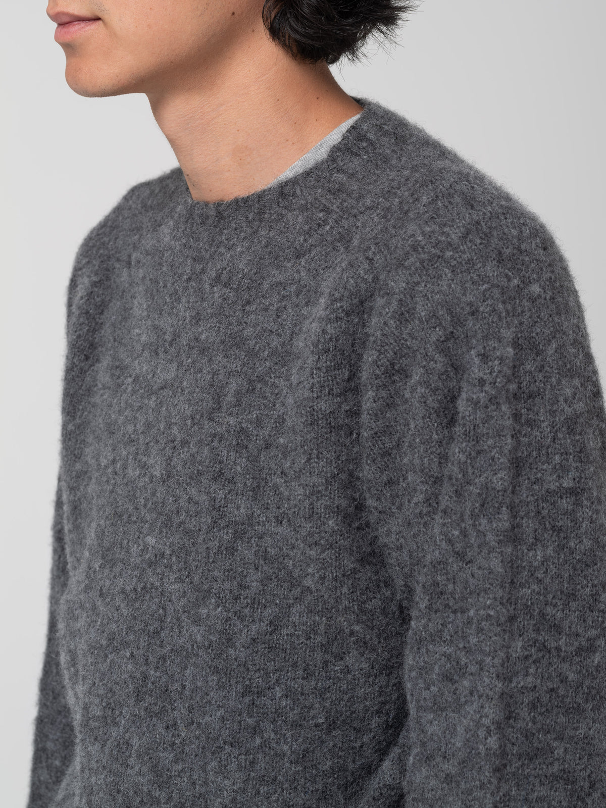 Pull Shaggy, Basalte
