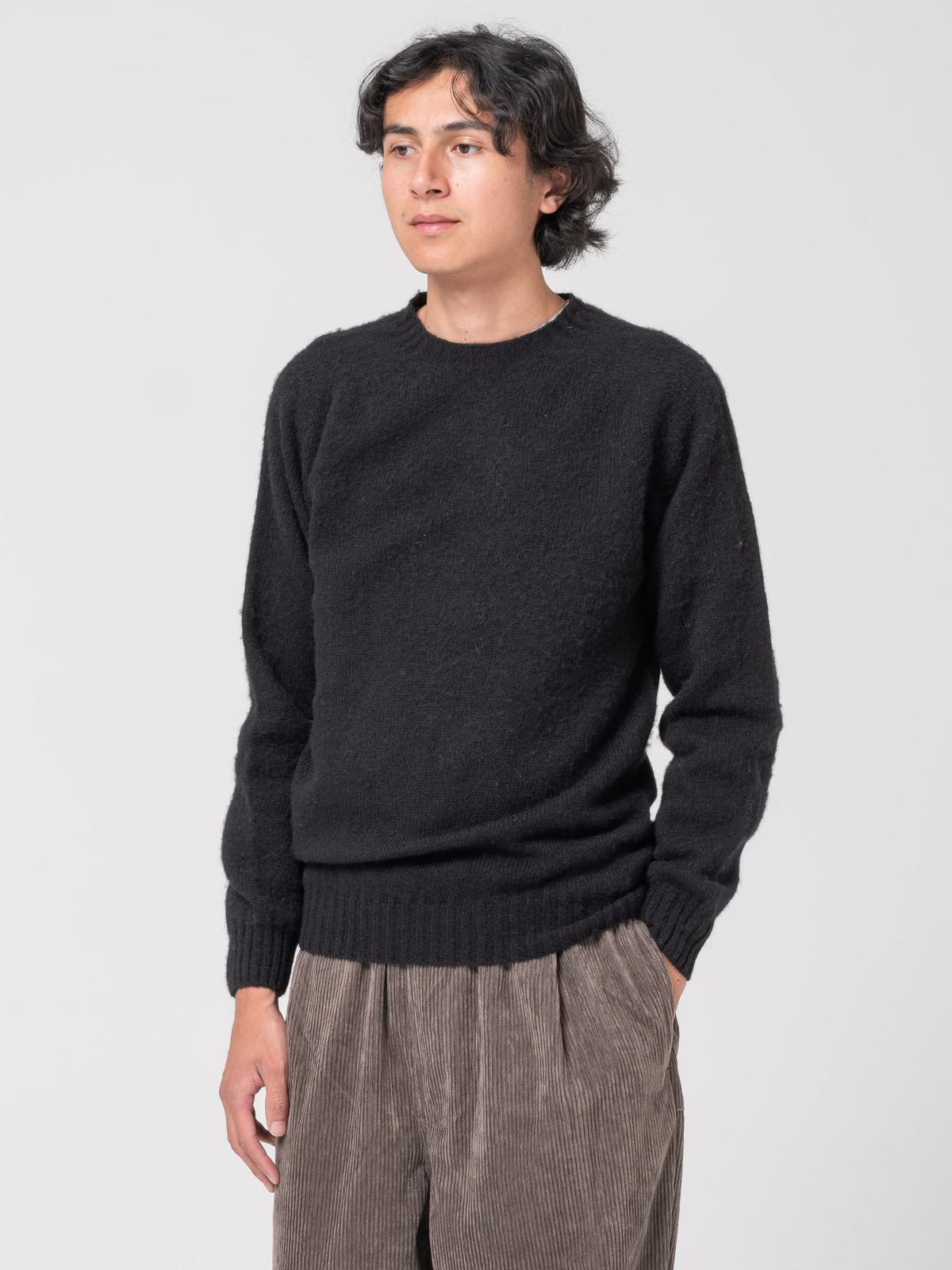 Pull Shaggy, Noir
