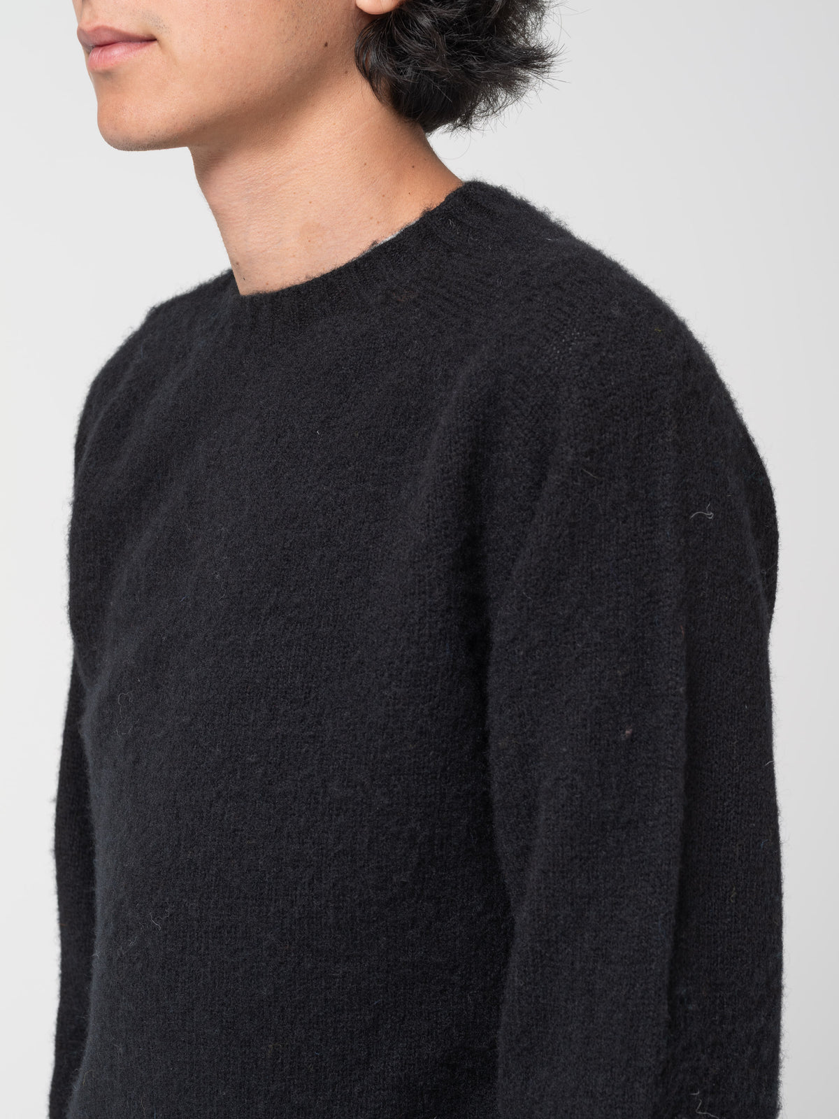 Pull Shaggy, Noir