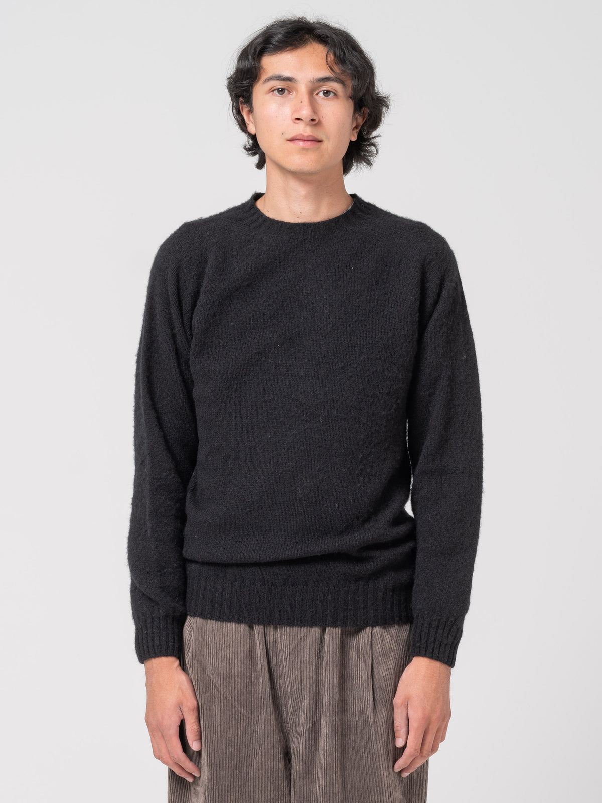Pull Shaggy, Noir