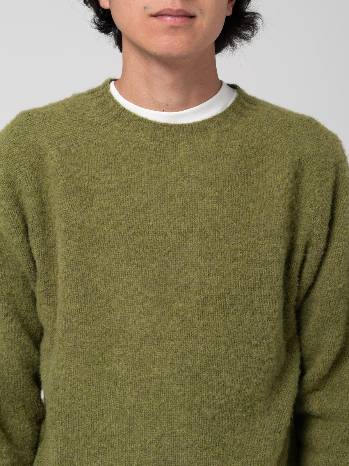 Pull Shaggy, Kale