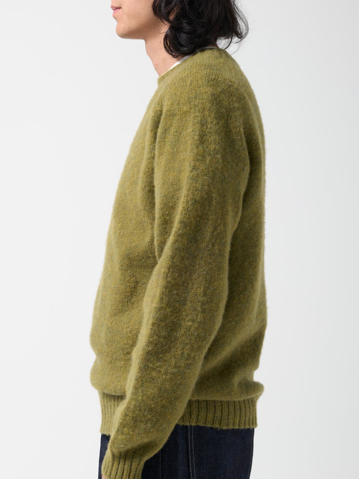 Pull Shaggy, Lichen