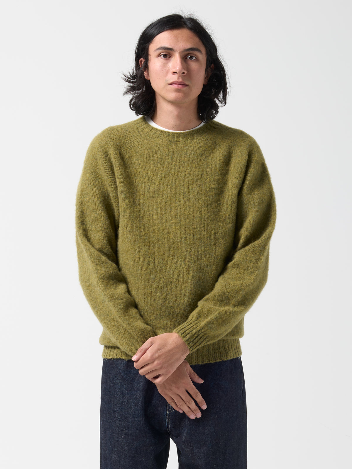Pull Shaggy, Lichen
