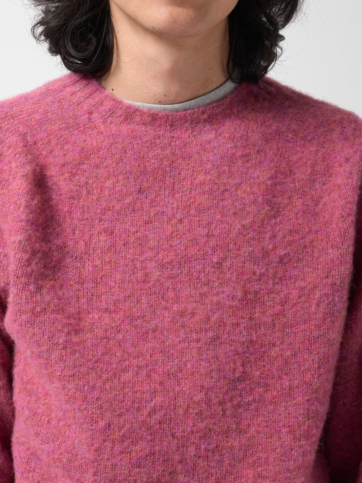 Pull Shaggy, Zinnia