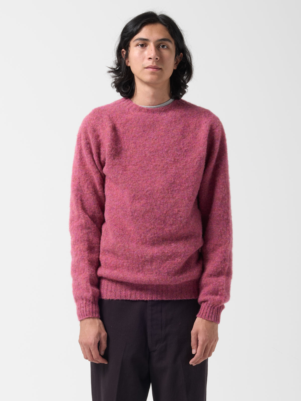 Pull Shaggy, Zinnia