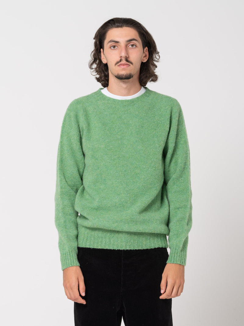 Pull en Shetland, Menthe