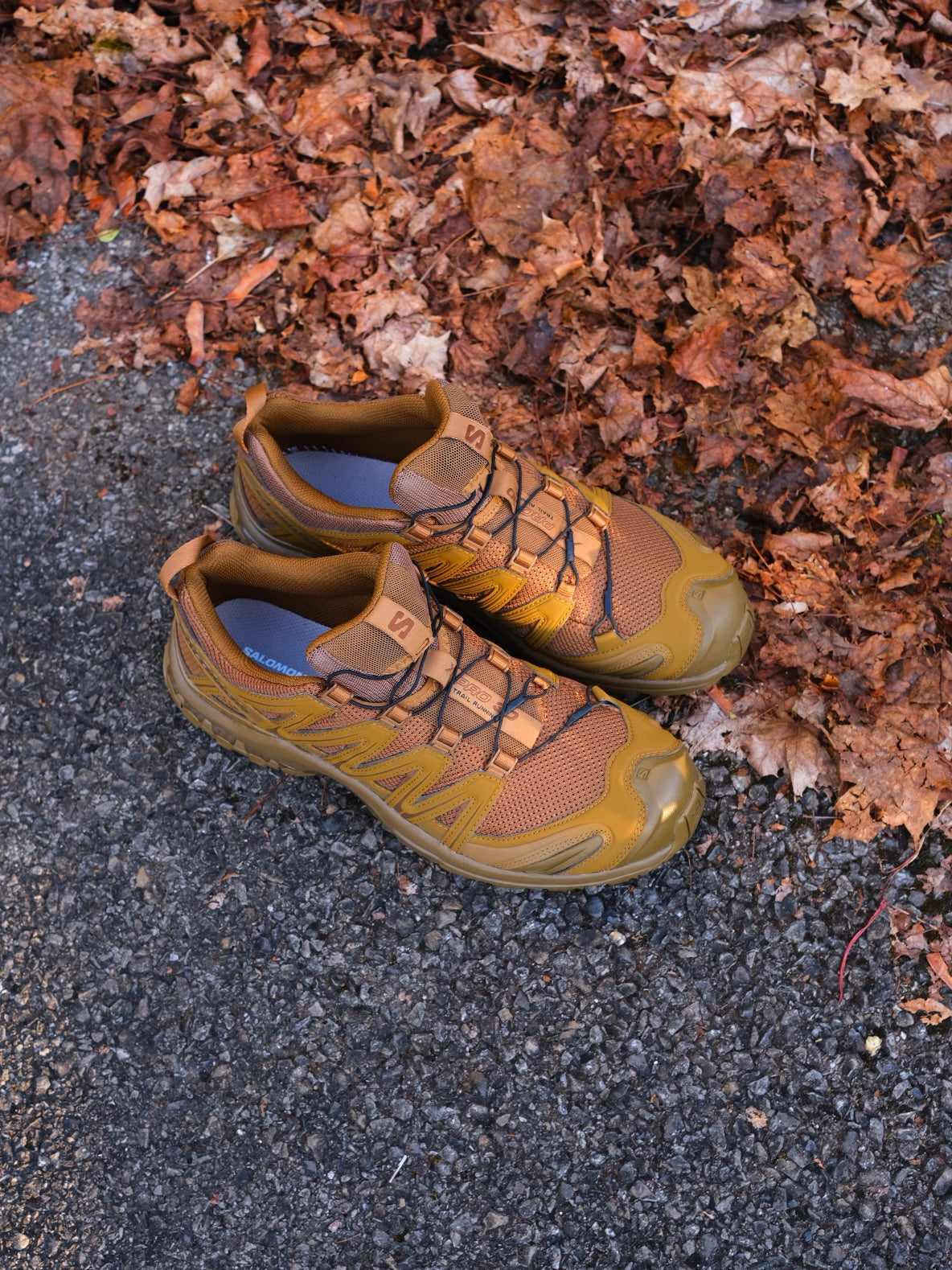 Salomon Sportstyle XA-Pro 3D Coyote 